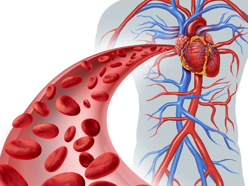 Alcoholic Pneumonia, Right Or Wrong?