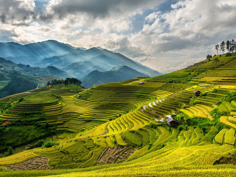 Enjoy Dishes Made From Flowers In Vietnamese Heaven