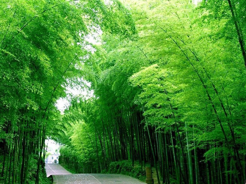 Suggest A Cheap Accommodation When Traveling Self-sufficient In Hong Kong Suggest A Cheap Accommodation When Traveling Self-sufficient In Hong Kong
