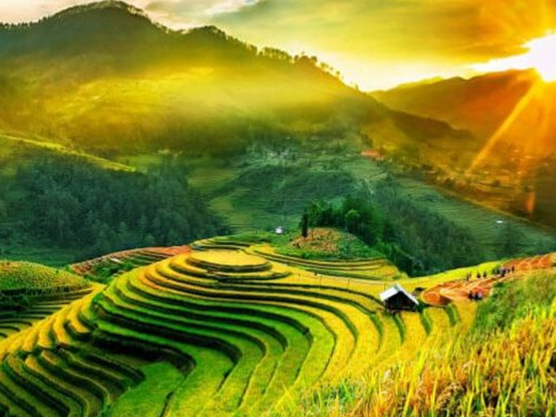 Live Slowly, Eat Clean In ‘paradise’ Green Tea Of Korea Live Slowly, Eat Clean In ‘paradise’ Green Tea Of Korea
