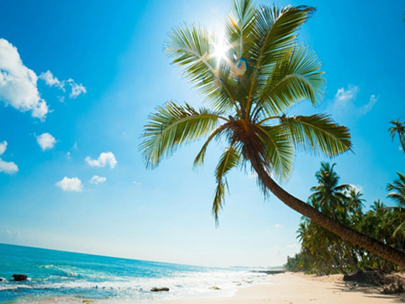 Suggest A Cheap Accommodation When Traveling Self-sufficient In Hong Kong Suggest A Cheap Accommodation When Traveling Self-sufficient In Hong Kong